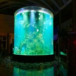 Кина сопствени евтини супер голема круг pmma стакло аквариуми јасно цилиндар акрилик риба тенкови