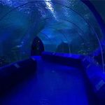180 или 90 степени акрилни панели за аквариумски тунел