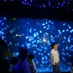 2018 акрилатна резервоарот за стаклена аквариумска медуза