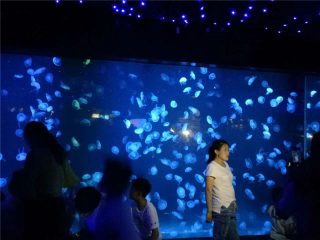 2018 акрилатна резервоарот за стаклена аквариумска медуза