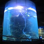 јасен акрилен цилиндар голема резервоарот за аквариуми или океански парк