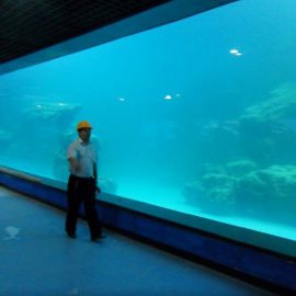 Фрлија ѕид УВ акрилик панел за аквариум / океанариум