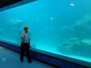 Фрлија ѕид УВ акрилик панел за аквариум, океанариум