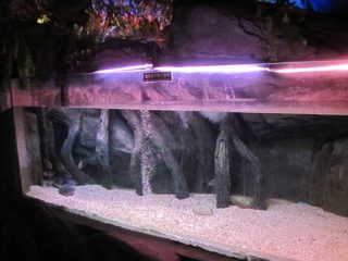 Акрилик базен панел / прозорец за подводно море светот