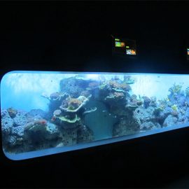 Вештачки фрлен акрилен цилиндричен проѕирен рибен аквариум / поглед прозорец