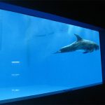 висок квалитет Голем акрилик аквариум / базен прозорец подводни дебели прозорци лист