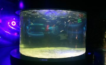 Акрилен резервоар за риба