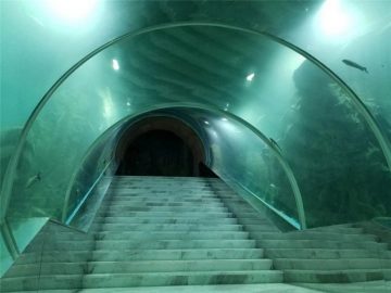 Акрилни тунел аквариум проект цена