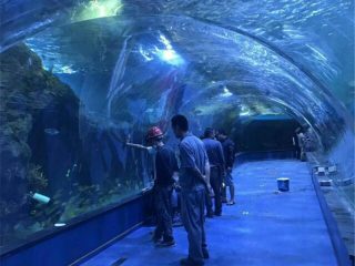 Проект за акрилен тунел океанариум во јавни аквариуми
