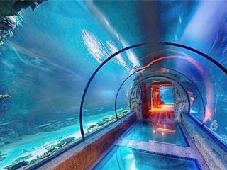 Модерен дизајн акрилен аквариум долг тунел