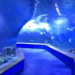 транспарентен акрилик стакло Тунел аквариум